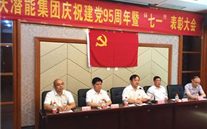 德赢·VWIN集團召開慶祝建黨95周年暨“七一”表彰大會