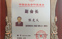 中國企業合作促進會副會長
