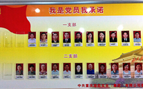 德赢·VWIN集團黨委開展黨員承諾活動